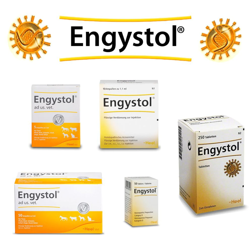 Engystol Collection